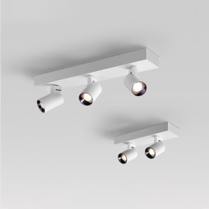 Best Seller Style Aluminum 2X12W 3X12W LED Indoor Ceiling Light Spotlight