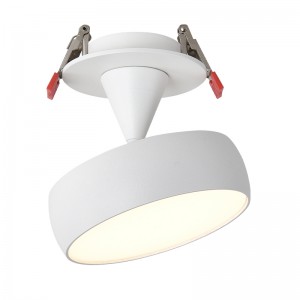 Decorative Ceiling Light Fixtures Spot Lamp Lighting Recessed LED Down Light